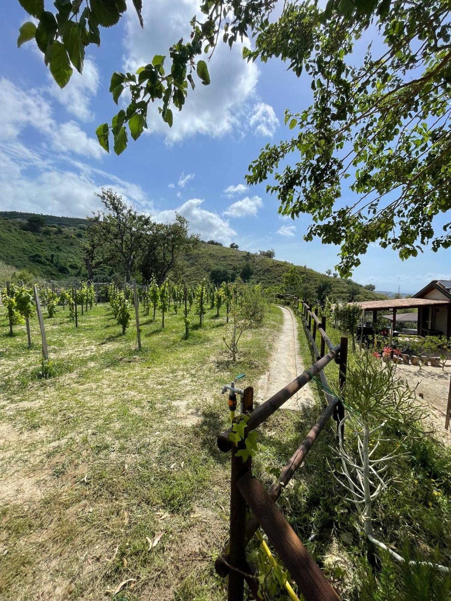 Casa Natura 40 Паргелия Экстерьер фото
